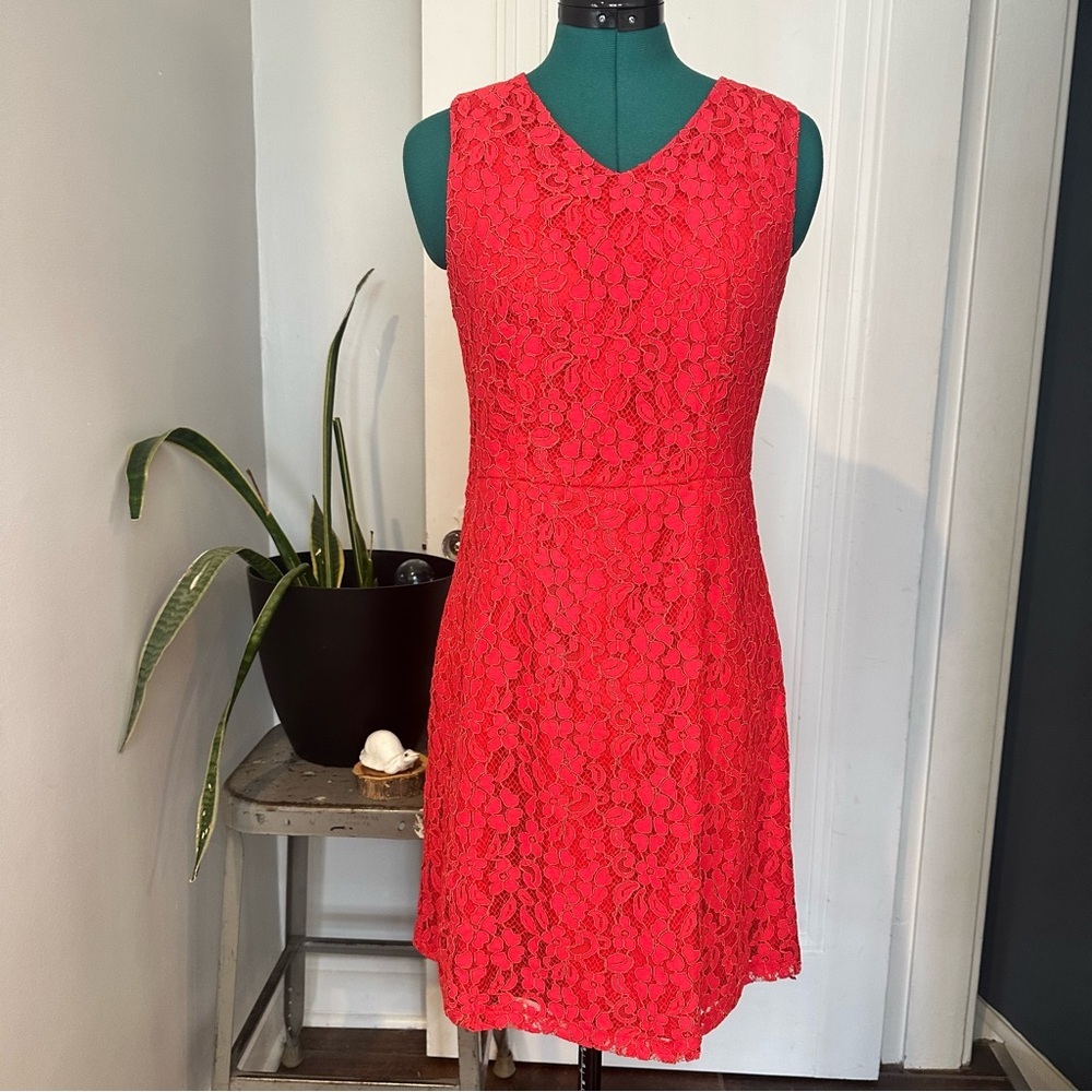 The Limited Scarlet Lace Mini Dress